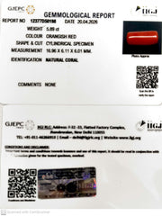 5.89/CT Natural Red Coral With Govt. Lab Certificate-12377D50198